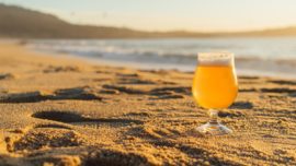 ¿Por qué no debes beber nunca alcohol en la playa?