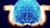 El alma es un producto del cerebro y otros titulares sobre el sistema más complejo del universo